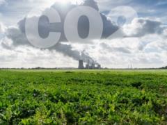 В ООН заявили о рекордном росте уровня CO2 в атмосфере