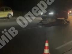 Под Киевом автомобиль сбил лося