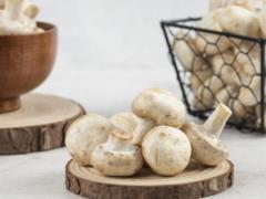 Грибы как природный антистресс: что стоит знать об этом суперпродукте