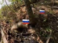 Бойцы ССО уничтожили 13 россиян в их же тылу