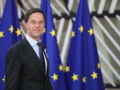 Генсек НАТО Марк Рютте обсудит с США поддержку Украины и мирные инициативы