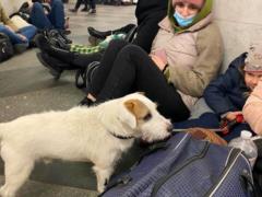 Угроза баллистики: Киев и области Украины в тревоге