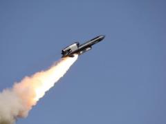 Были трудности: Зеленский рассказал о Фламинго