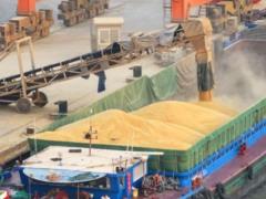 Вывоз миллионов тонн зерна из Украины: чиновнику РФ предъявлено подозрение
