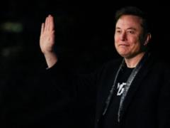 Маск запустил конкурента Википедии