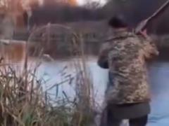 На Житомирщине мужчина убил беременную кошку веслом