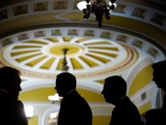 Сенат США хочет заслушать посла РФ из-за похищения украинских детей