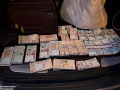 В Украине раскрыта схема  теневой  вырубки дубов на десятки миллионов