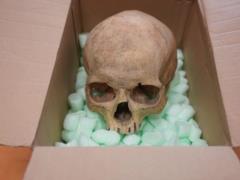 Немец вернул в венский собор реликвию, украденную 60 лет назад