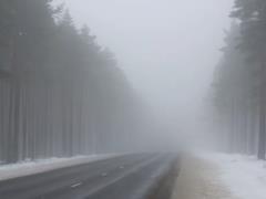 Украинцев предупредили о сложных погодных условиях 2 ноября: где следует быть осторожными