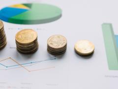 Ukraine s shadow economy: more than counterfeit