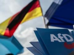 Немецкую партию AfD подозревают в шпионаже в пользу РФ - СМИ