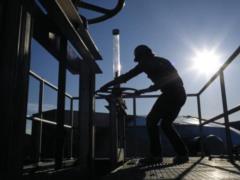 В Хорватии опровергли заявление Венгрии о безальтернативности нефти из РФ