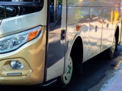 В Украине рынок автобусов вырос на треть