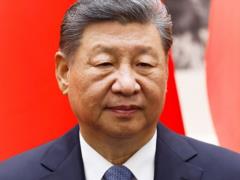 Си Цзиньпин пропустит саммит G20 в ЮАР