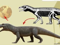 Выглядел как динозавр: ученые нашли останки гигантского ящера-«воина»