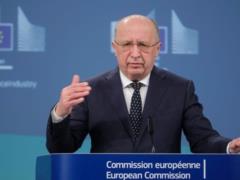 ВСУ могут привлечь к обороне восточных границ ЕС от РФ - еврокомиссар