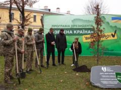 В Украине посадили миллиардное  дерево Зеленского 