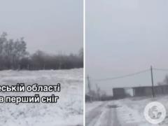 Первое дыхание зимы: в Одесской области выпал снег.