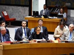 Мирный план: в Совбезе ООН Украина озвучила позицию по территориях