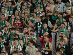 “Whenever we fall, we will advance”: fans of the Carpathians launched an action against Europe