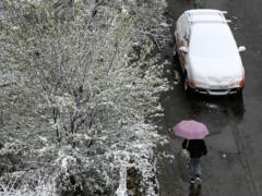 Погода в Украине 25 ноября: дождь с мокрым снегом на западе и гололедица на дорогах