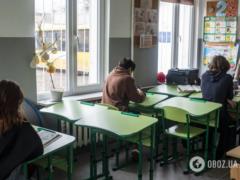 В Черновцах учительница обозвала ученика  скотиной  за просьбу разговаривать на украинском: появились новые детали скандала, кот