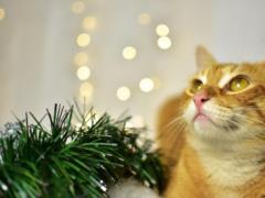 Гороскоп для всех знаков зодиака на 28 ноября 2025 года
