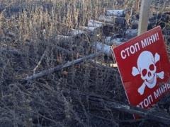Украина заняла четвертое место в мире по количеству жертв от мин