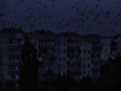 Чернигов остался без света 5 декабря из-за масштабной аварии
