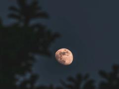 Лунные и солнечные затмения в 2026 году: когда будут и что будут означать
