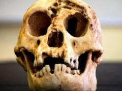 Ученые рассказали, почему вымерли «хоббиты»