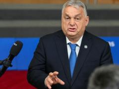 Орбан: Еврокомиссия сняла вопрос о замороженных активах РФ с повестки дня