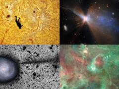 От межзвездной кометы до спрайта над Землей: Live Science обнародовало десять лучших астрономических фото 2025 года
