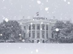 США покидают 66 международных организаций - Белый дом
