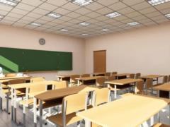 Школам рекомендуют продлить каникулы до 19 января - Свириденко