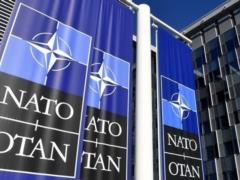 В НАТО ищут способы предотвратить вторжение США в Гренландию