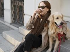 Как маленькие дети: собаки учатся, подслушивая хозяев