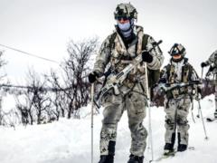 Германия отправляет солдат в Гренландию