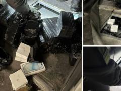 В Украину ввозили контрабанду iPhone и другой техники Apple: разоблачена масштабная схема