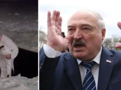  Искал картошку?  71-летний Лукашенко в сопровождении собаки нырнул в прорубь и был высмеян.