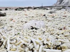 В Англии на берег выбросило тонны картофеля фри и лука