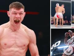 Непобедимый украинский чемпион мира выиграл бой нокаутом в первом же раунде.