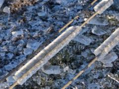 В Одесской области тысячи людей остаются без света после непогоды