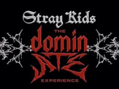 Концертный фильм кейпоп-группы Stray Kids возглавил мировой прокат