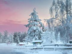 Какой праздник отмечают 10 февраля: все об этом дне