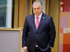 ЕС и Украина  объявили  Венгрии войну — Орбан