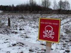 Генштаб назвал число россиян, ликвидированных на инженерных боеприпасах