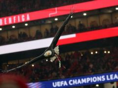 “We are talking about the discredit campaign that Prestianni has become a victim of”: Benfica made a statement following the UEF