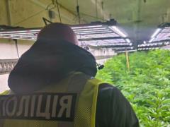 На Черкащине раскрыли промышленную наркоплантацию с солнечными панелями